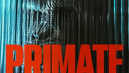 Primate