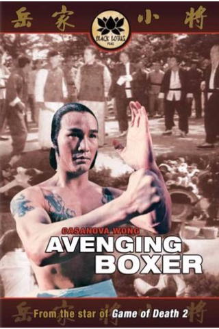 Avenging Boxer (1979)