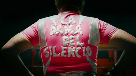 La Dama del Silencio: El caso Mataviejitas