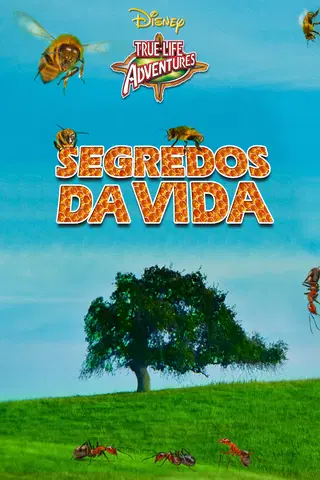 Segredos da Vida