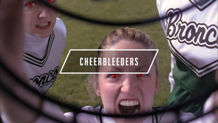 Cheerbleeders