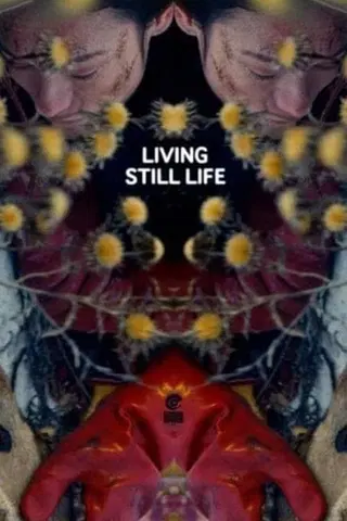 Living Still Life