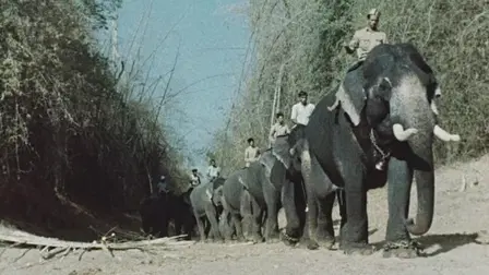Inde, terre mère