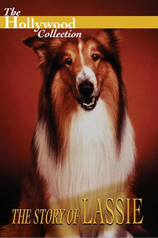 The Hollywood Collection: The Story of Lassie
