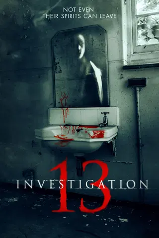 Investigation 13