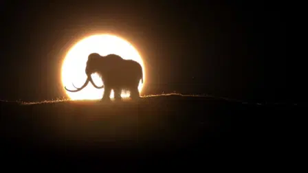 Woolly Mammoth: Secrets from the Ice