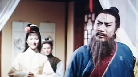 The Beautiful Swordswoman