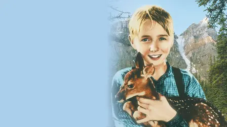 Il cucciolo