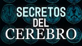 Secretos del cerebro