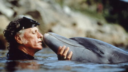 Delfinbugten
