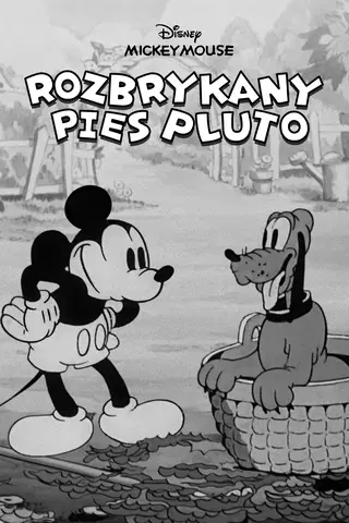 Rozbrykany pies Pluto