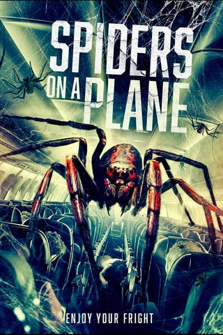 Spiders on a Plane
