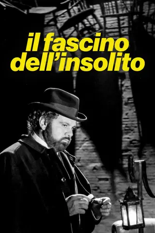 Il fascino dell'insolito
