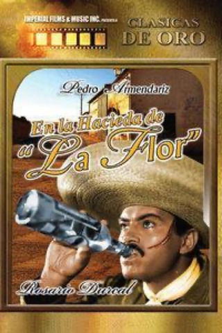En La Hacienda De La Flor