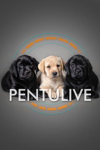Pentulive 2021