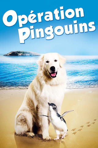 Opération Pingouins