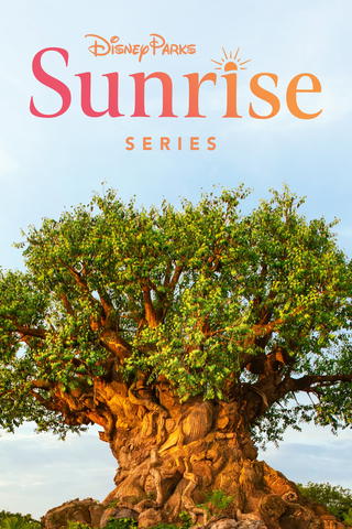 Disney parks sunrise series