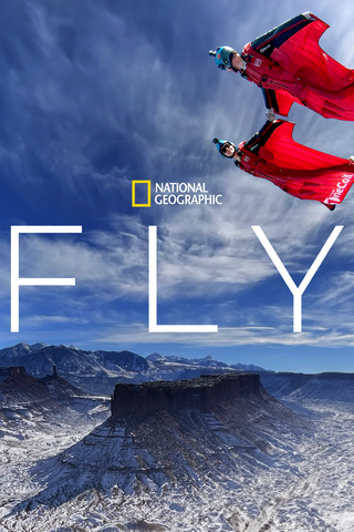 Fly