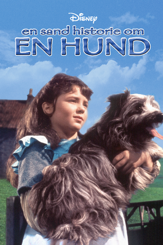 En herreløs hund