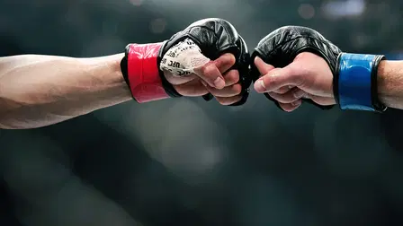 UFC Fight Night (Español)