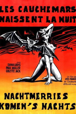 Die nackten Augen der Nacht