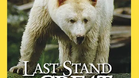 Last Stand of the Great Bear