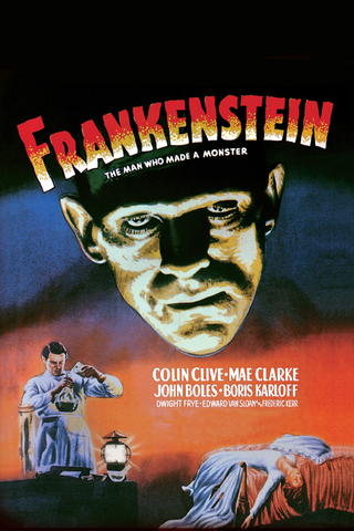 Frankenstein - mannen som skapade en människa