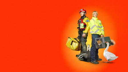 Saving Britain's Wildlife