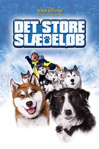 Det Store Slædeløb