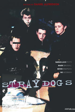 Straydogs