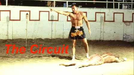 The Circuit