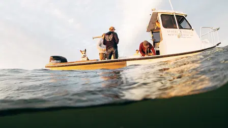 The Oyster Farmers