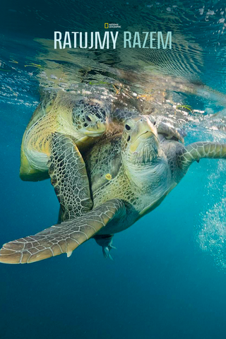 Morze nadziei: podwodne skarby Ameryki