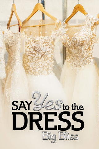 Say Yes to the Dress: Big Bliss