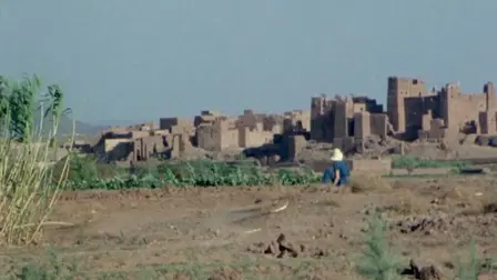 The Great Sadness of Zohara