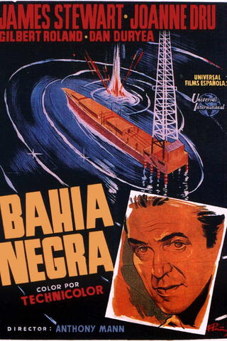 Bahía negra