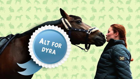 Alt for dyra