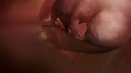 In The Womb: Animal Babies