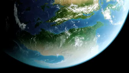 Pflanzenwelten Die heimliche Macht auf unserem Planeten