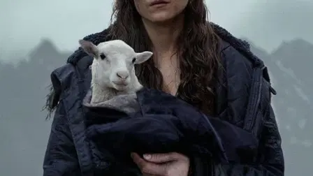 Lamb