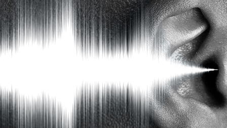 In Pursuit of Silence