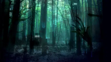 Este bosque está embrujado