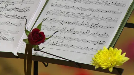 Johann Sebastian Bach: Brandenburg Concertos 1-6