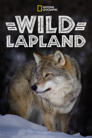 Wild Lapland