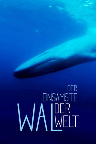 Der einsamste Wal der Welt
