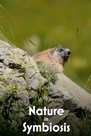 Nature in Symbiosis