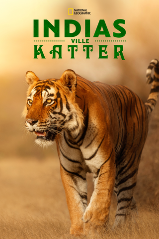 Indias ville kattedyr