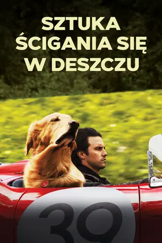 Sztuka ścigania się w deszczu