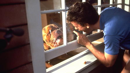 Turner & Hooch