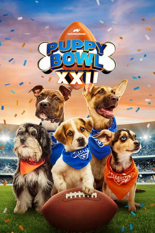 Puppy Bowl